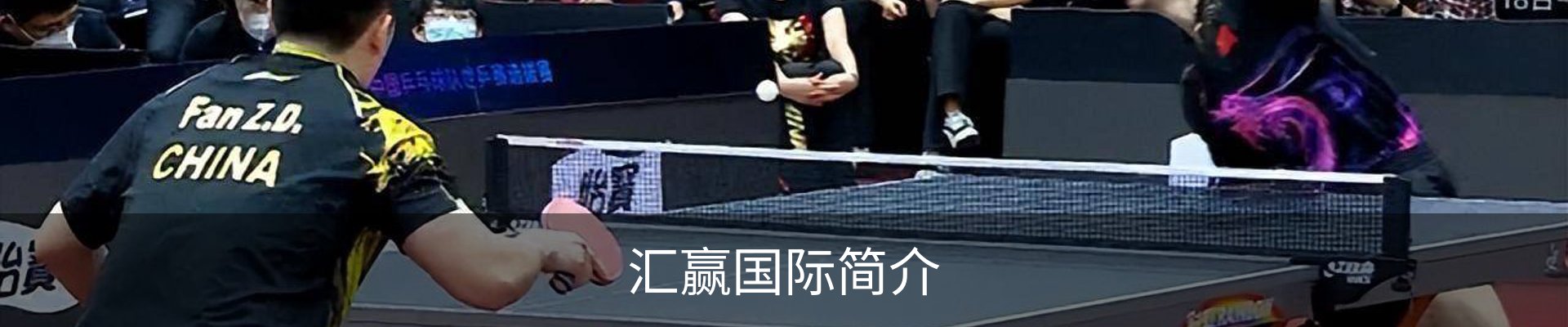 汇赢国际简介